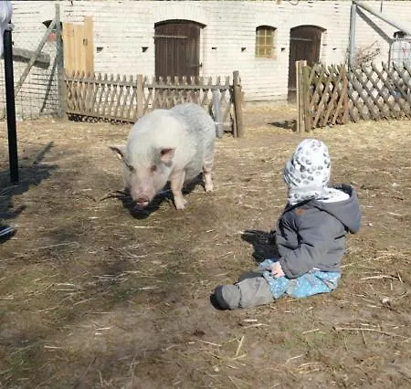 Gnaden -und Saale Wittgenstein *