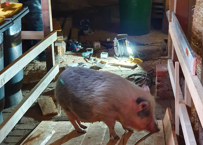 Gnaden -und Saale Wittgenstein