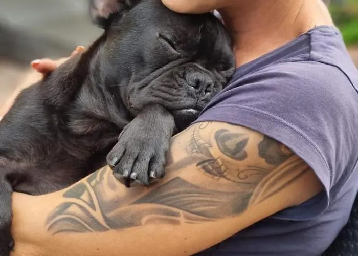 Gnaden -und Saale Wittgenstein Ferienhaus