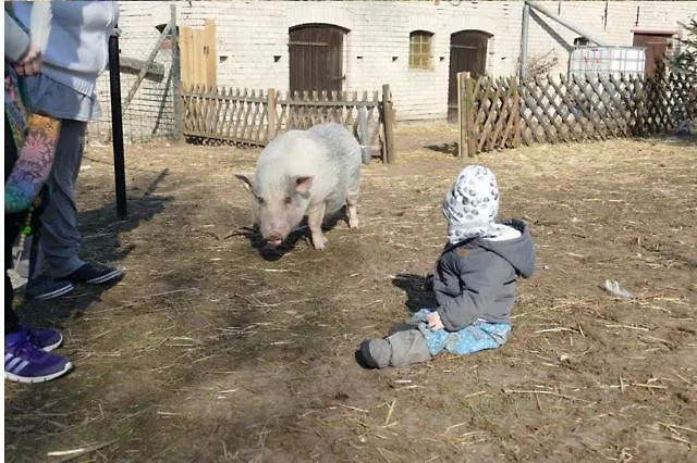 Gnaden -und Saale Wittgenstein *